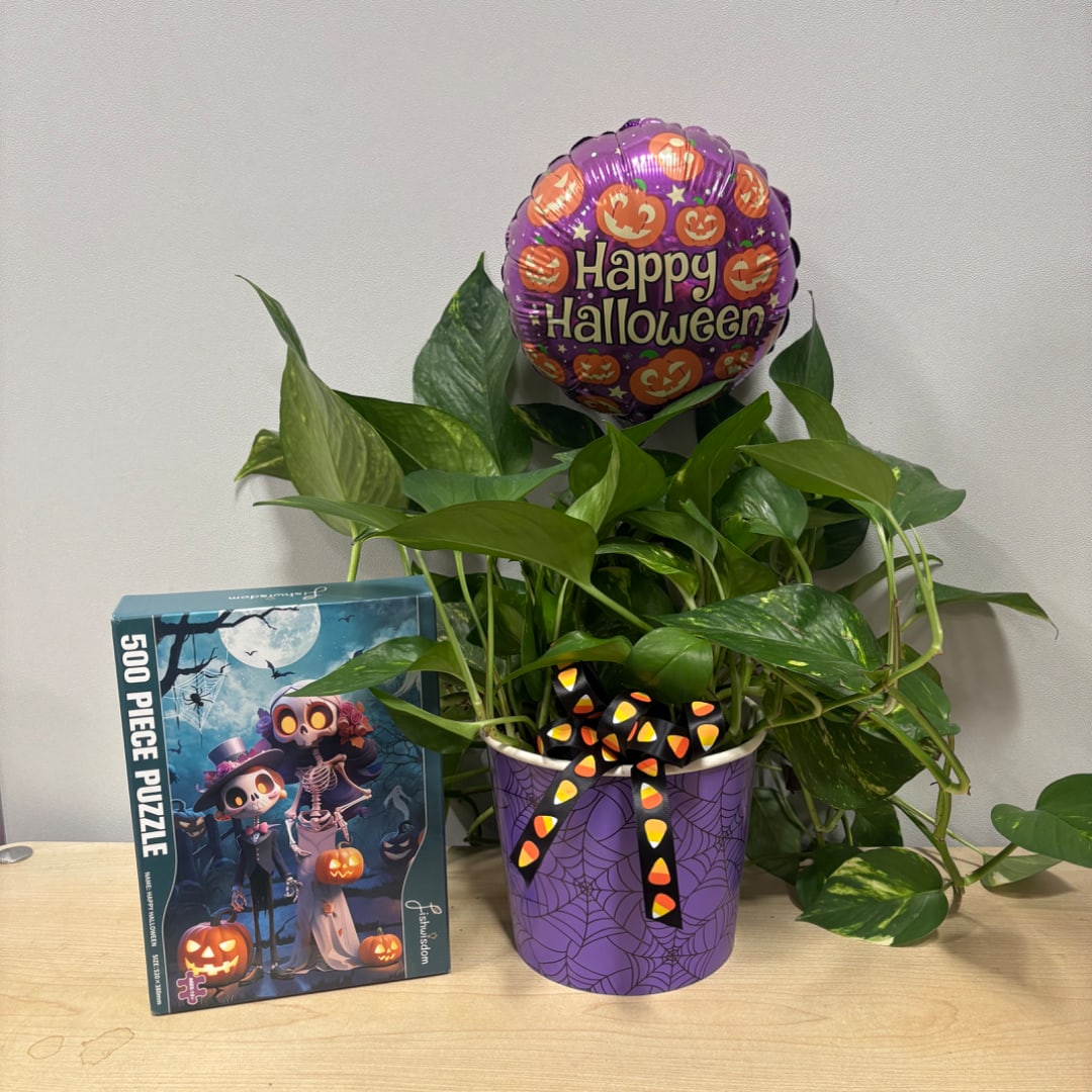 Potted green plant with a Halloween balloon and candy-corn ribbon, beside a puzzle box