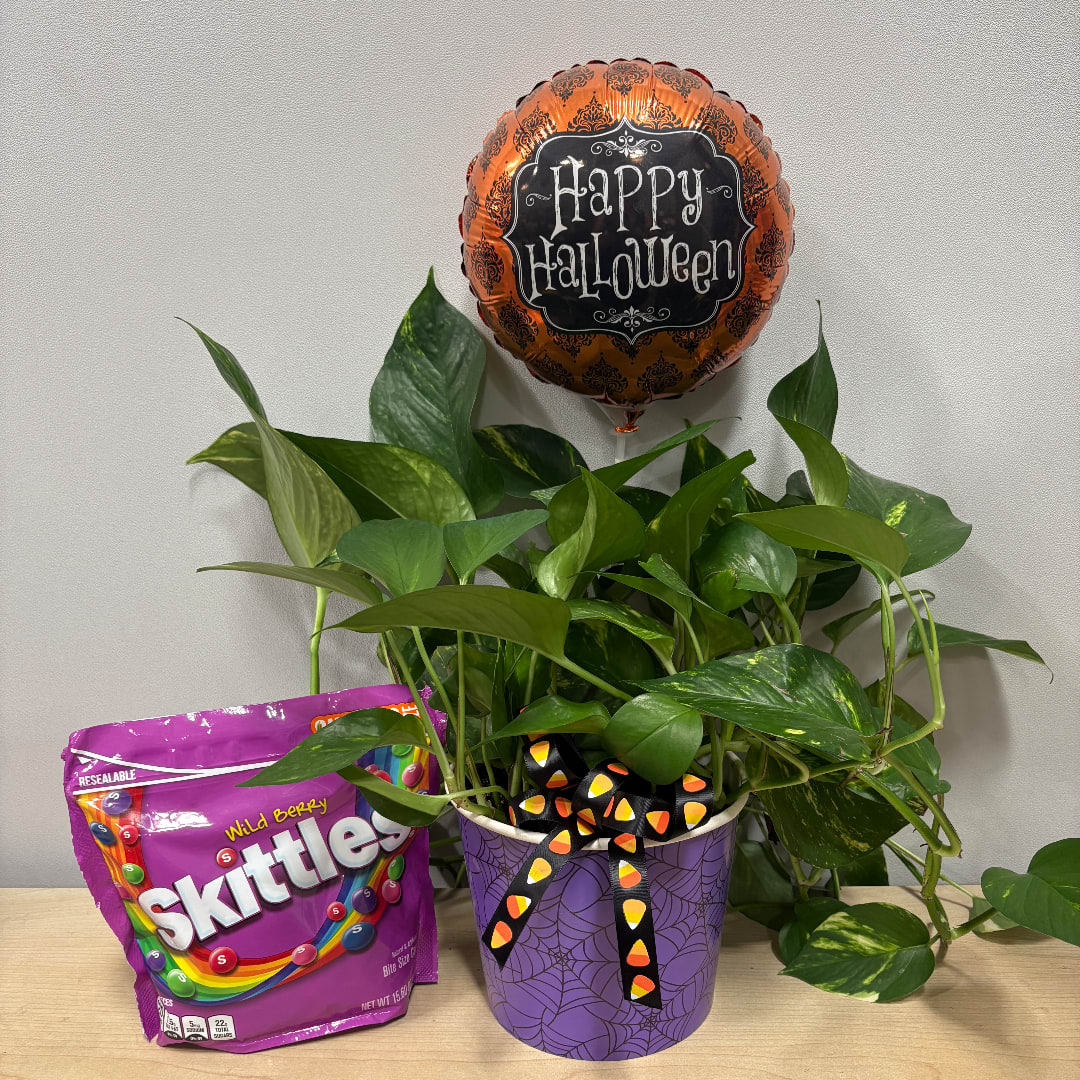Potted green plant with a Halloween balloon and a bag of Skittles candy