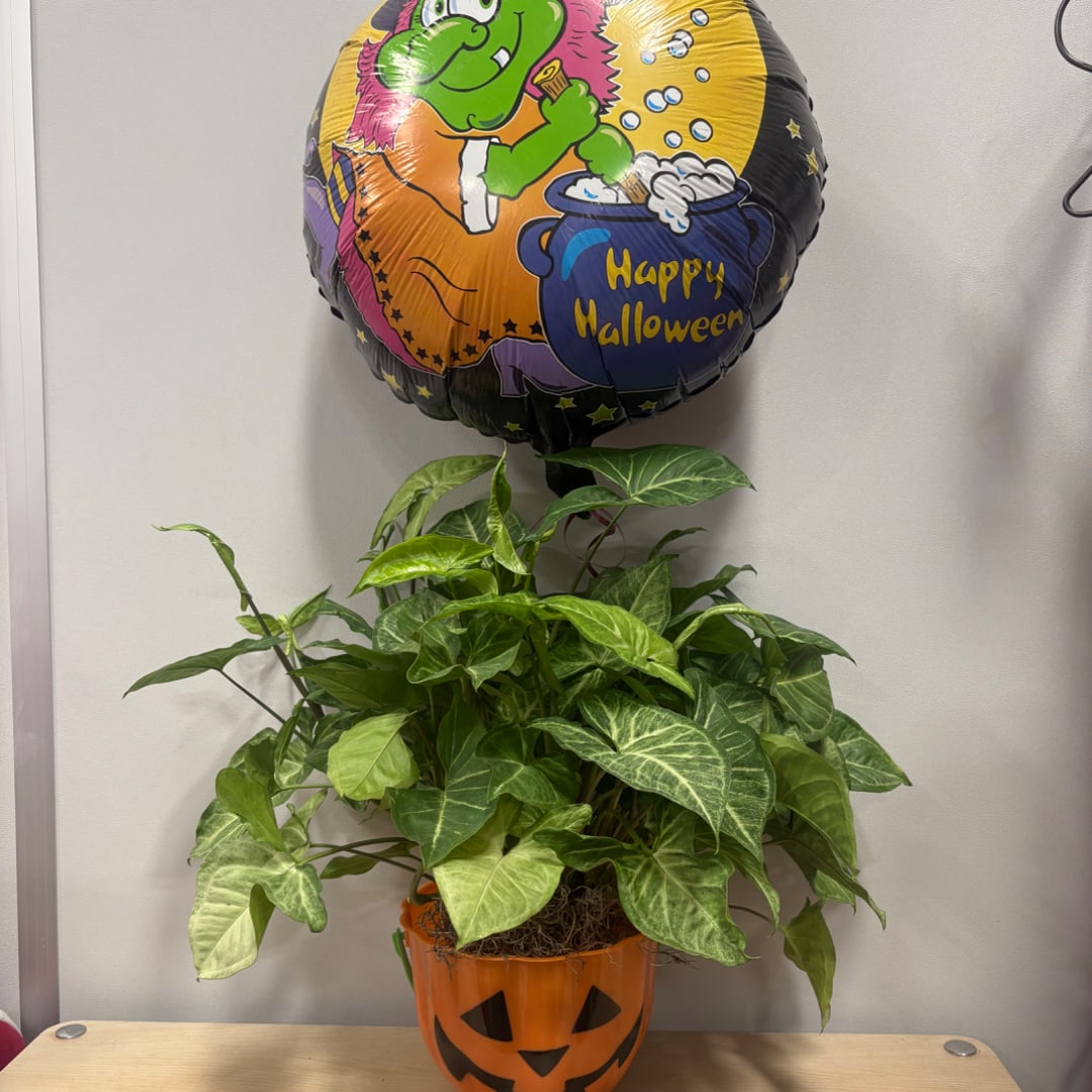 Potted green plant in a jack-o'-lantern container with a Halloween balloon above it