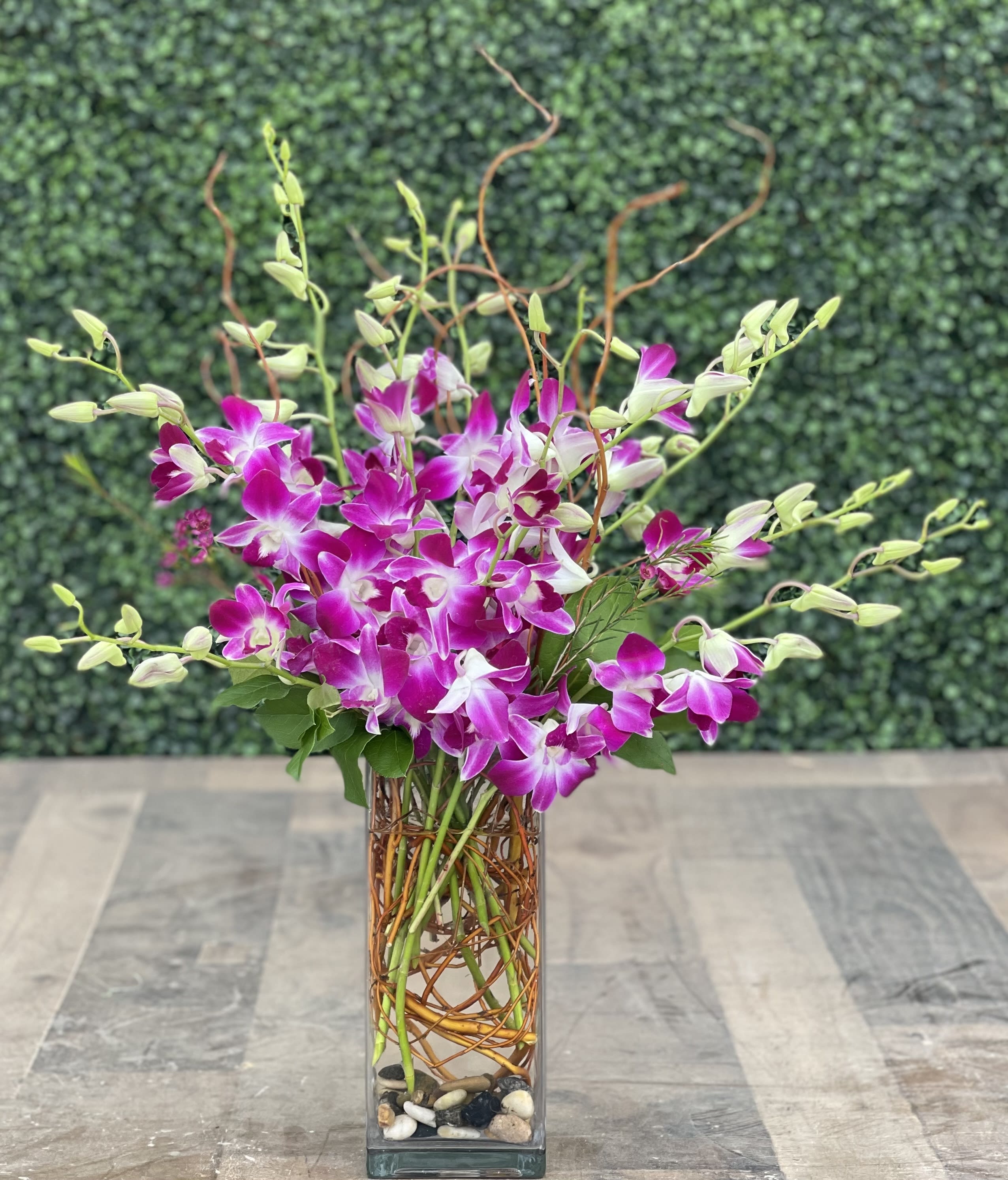 Pink and white orchids arranged in a tall glass vase