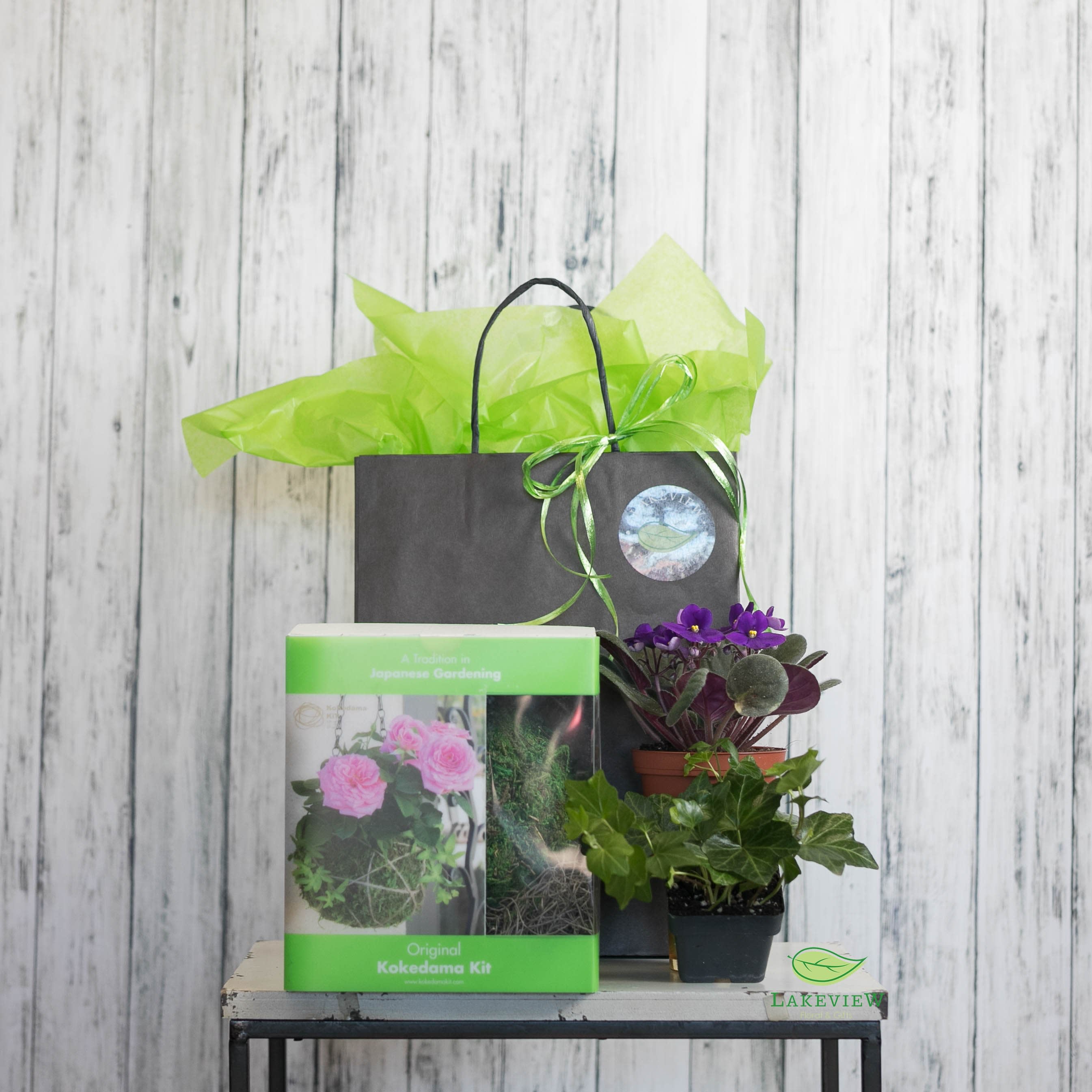Gift bag with potted plants and a kokedama kit box
