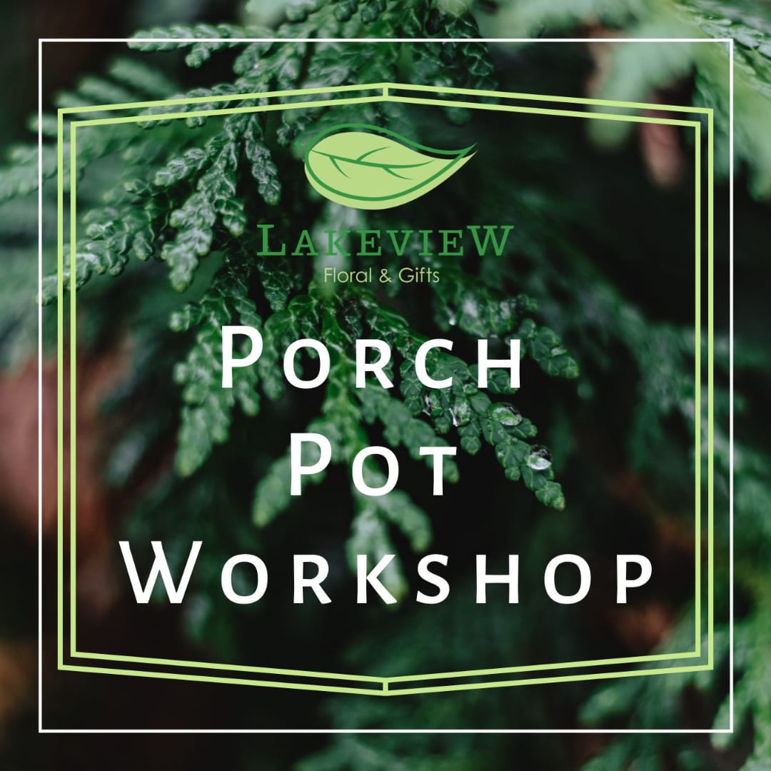 Porch pot workshop graphic over a close-up of green foliage