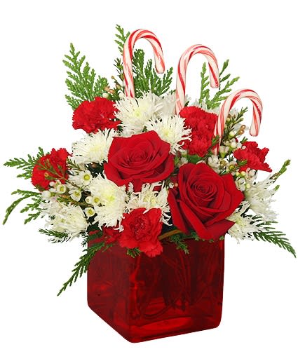 Red and white arrangement with roses, carnations, mums and candy canes in a red glass cube vase