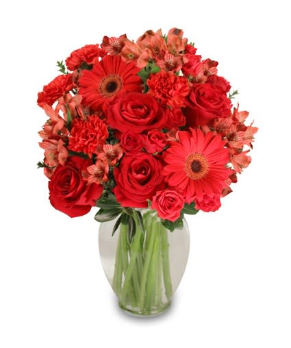 Red roses, gerbera daisies, carnations, and alstroemeria arranged in a clear glass vase.