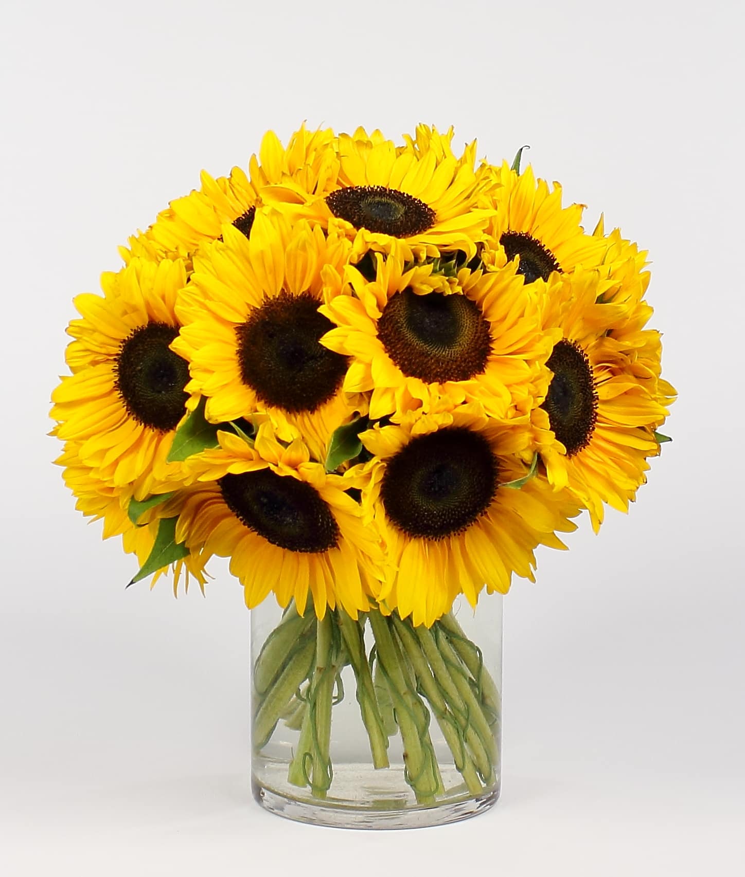Bouquet of yellow sunflowers in a clear glass vase