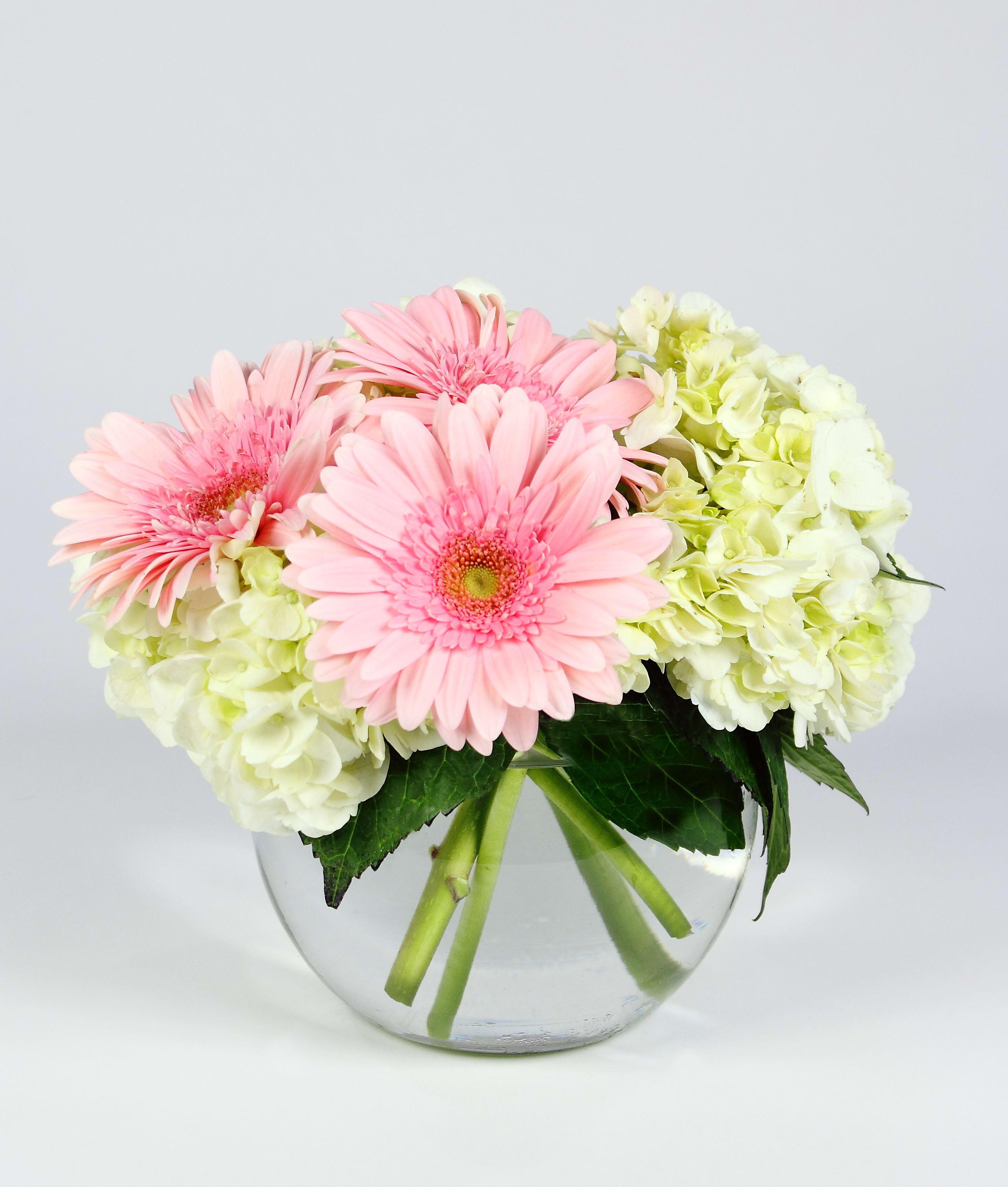 Pink gerbera daisies and pale hydrangeas in a clear glass vase