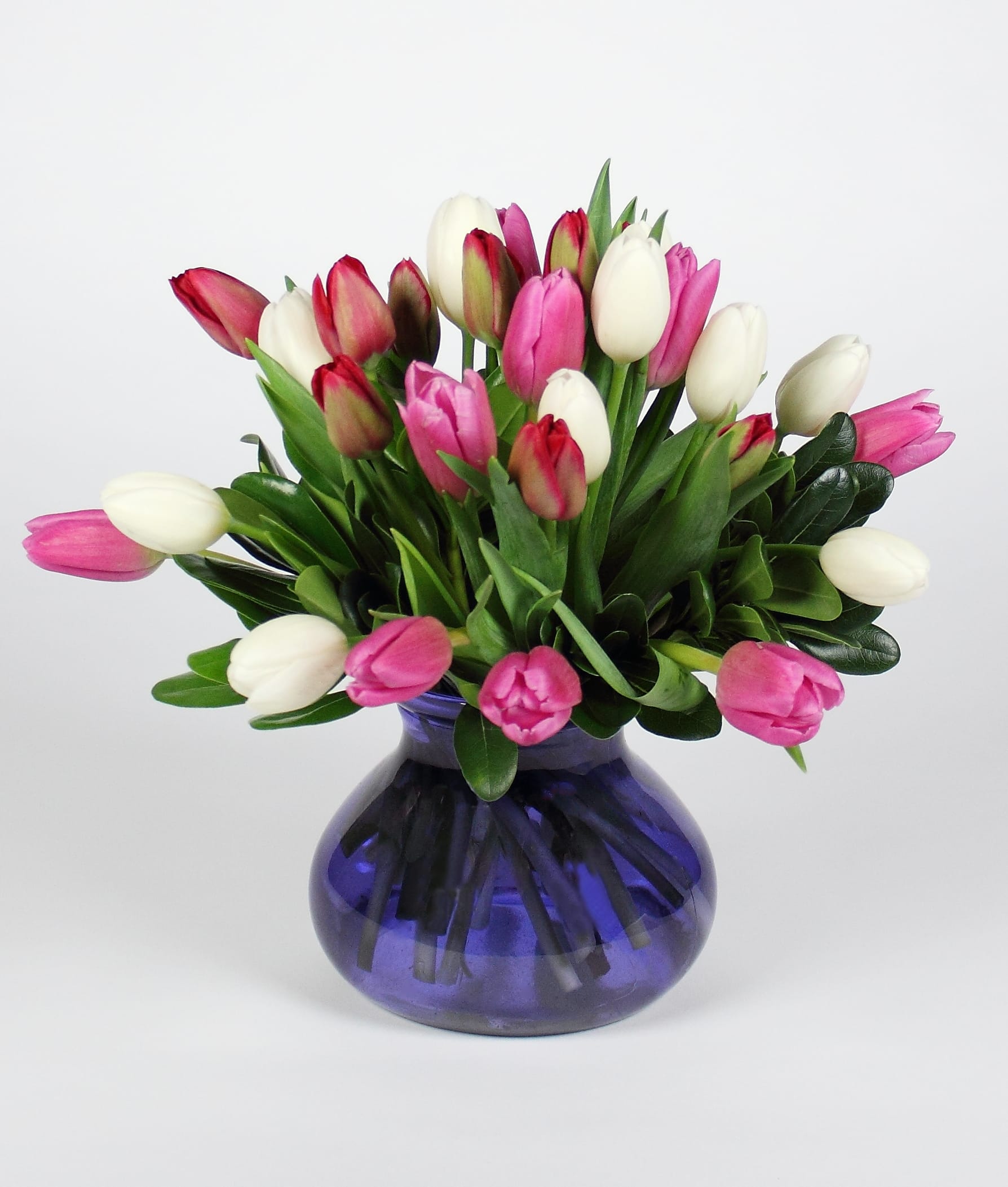 Pink and white tulips arranged in a blue glass vase
