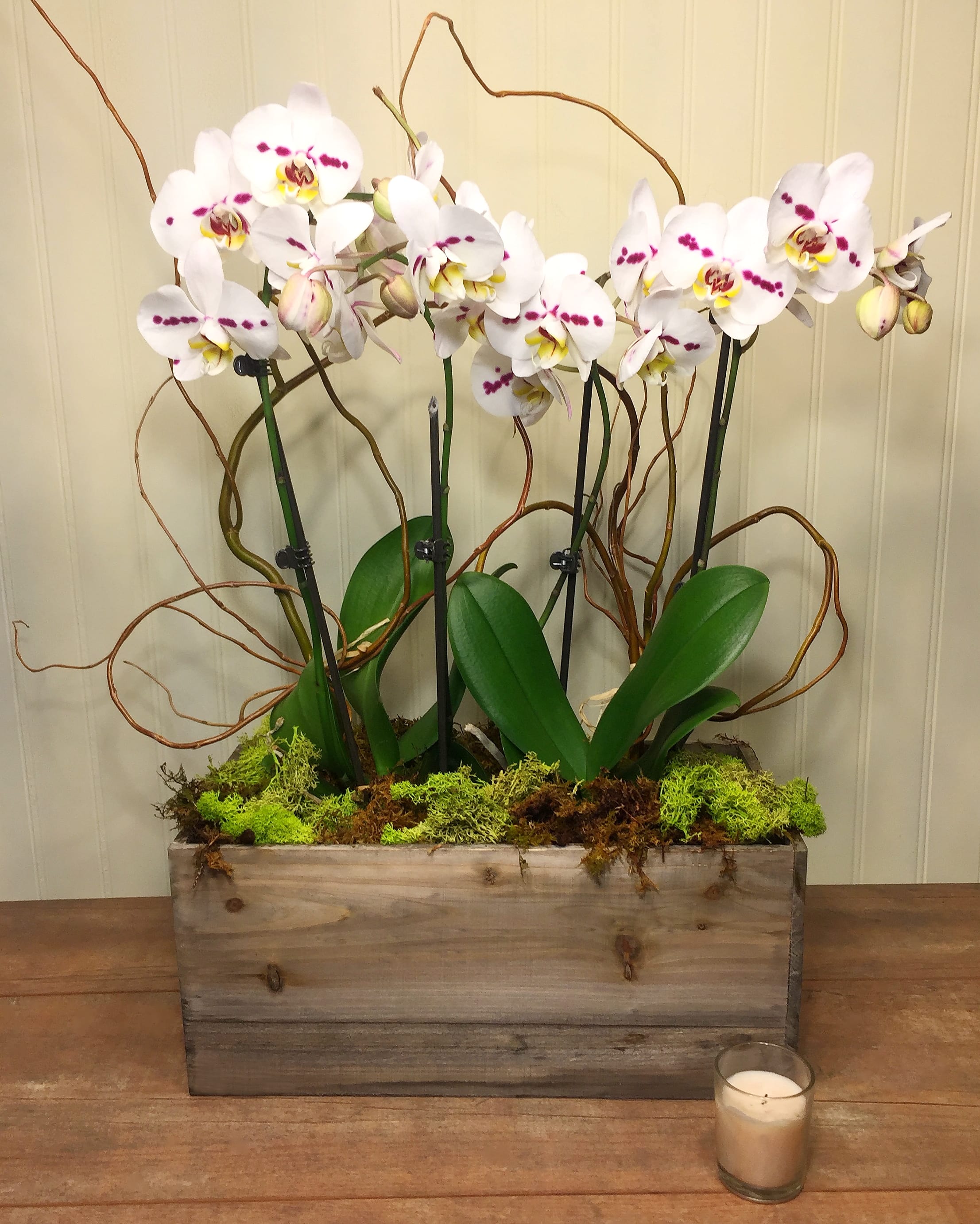 White orchids in a wooden planter with a small candle beside it
