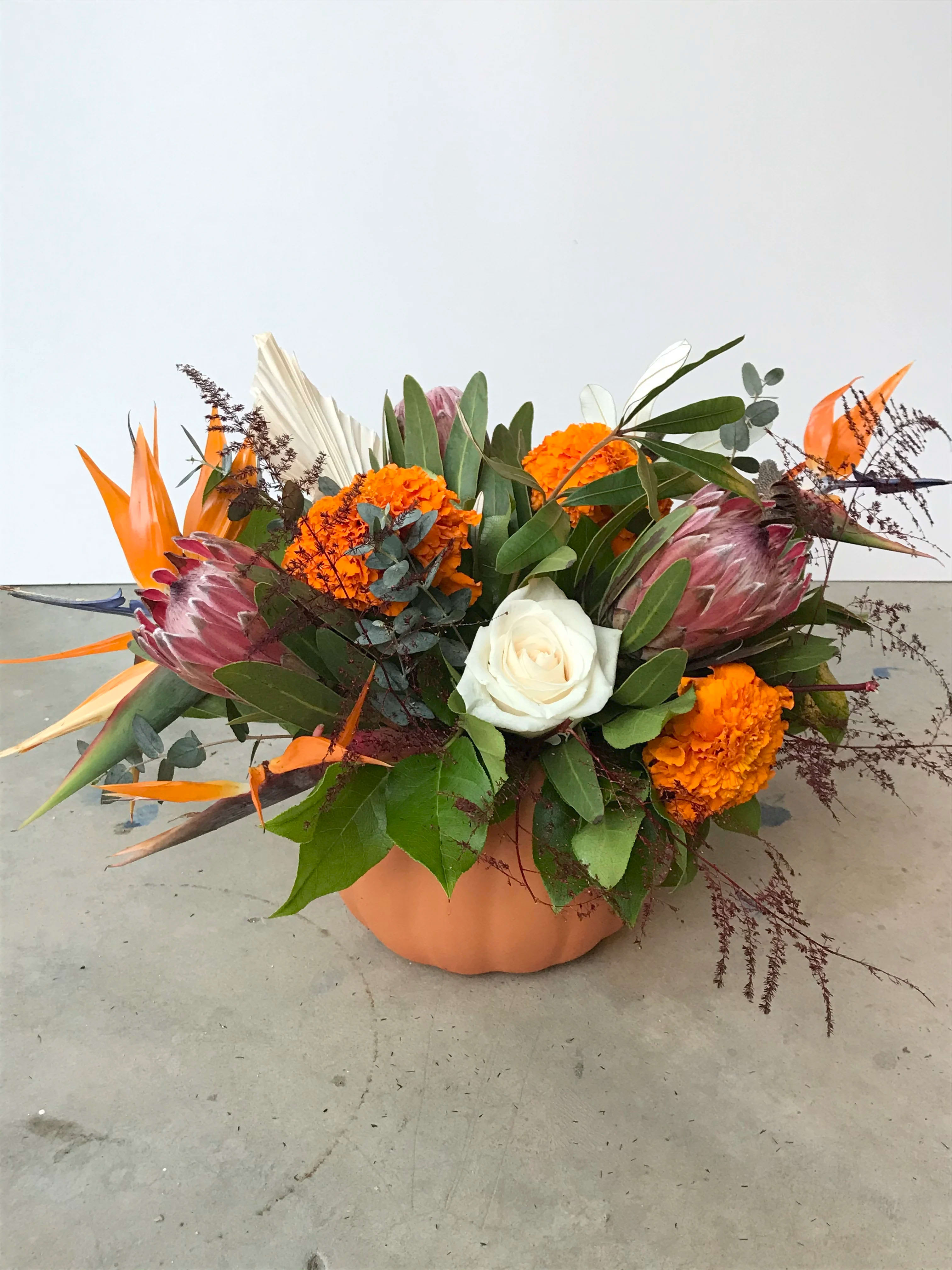 Fall Celebration - Some of our fall favorites of marigold, protea, roses, and birds of paradise, arranged in a 7” diameter ceramic pumpkin. Limited time only! Send some fall feels to someone who loves welcoming Fall! Approx dimensions: 13”x12”