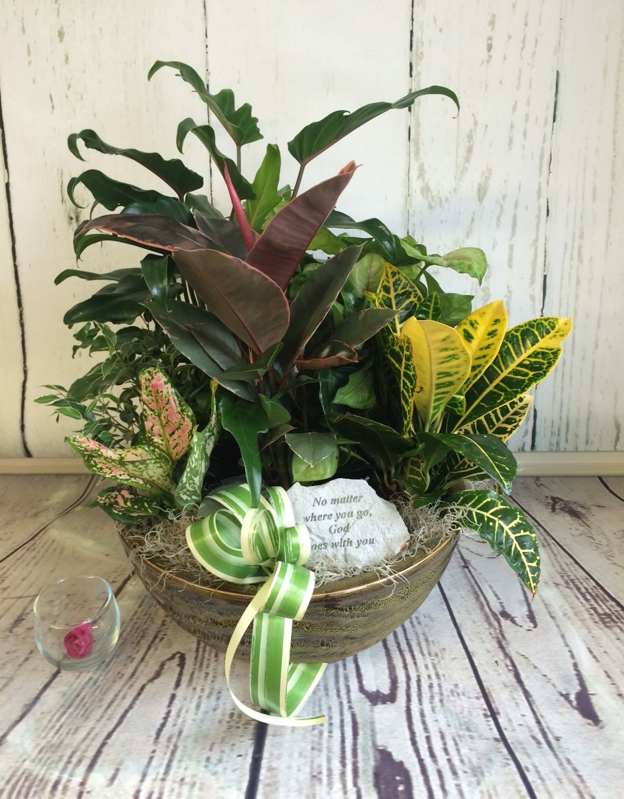 Mixed potted plants in a gold bowl with a ribbon and small stone