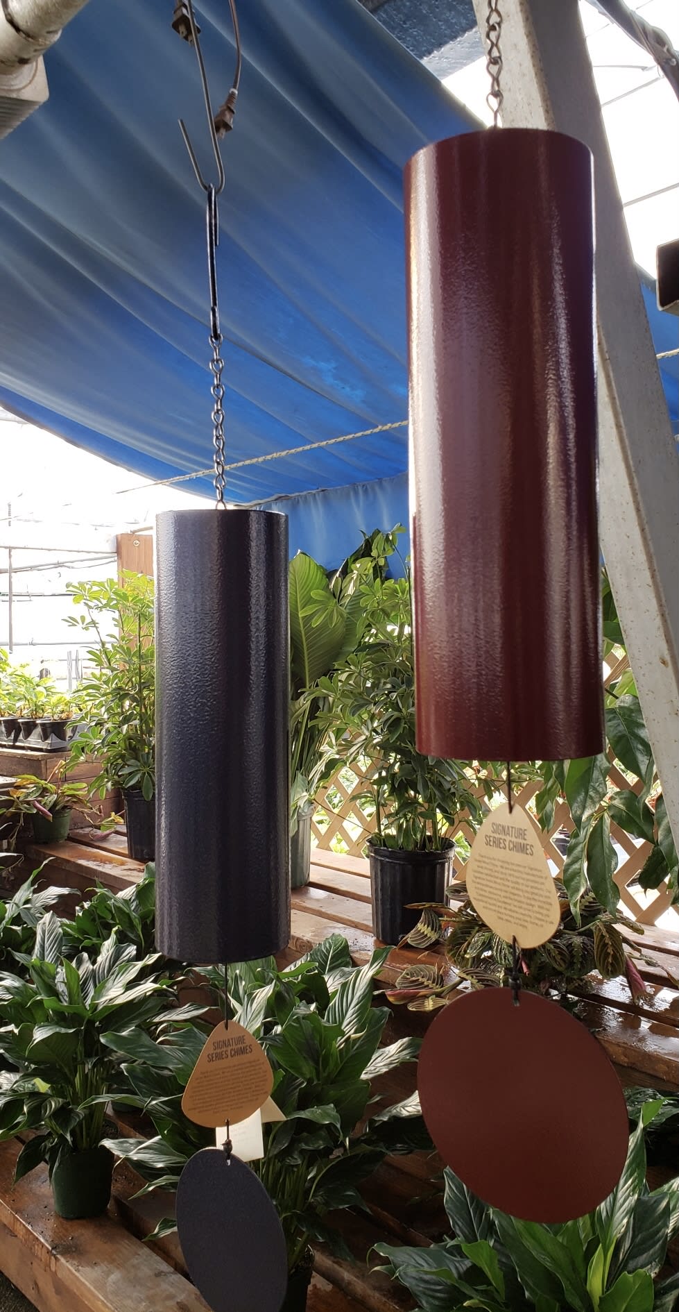 Hanging metal wind chimes above potted houseplants