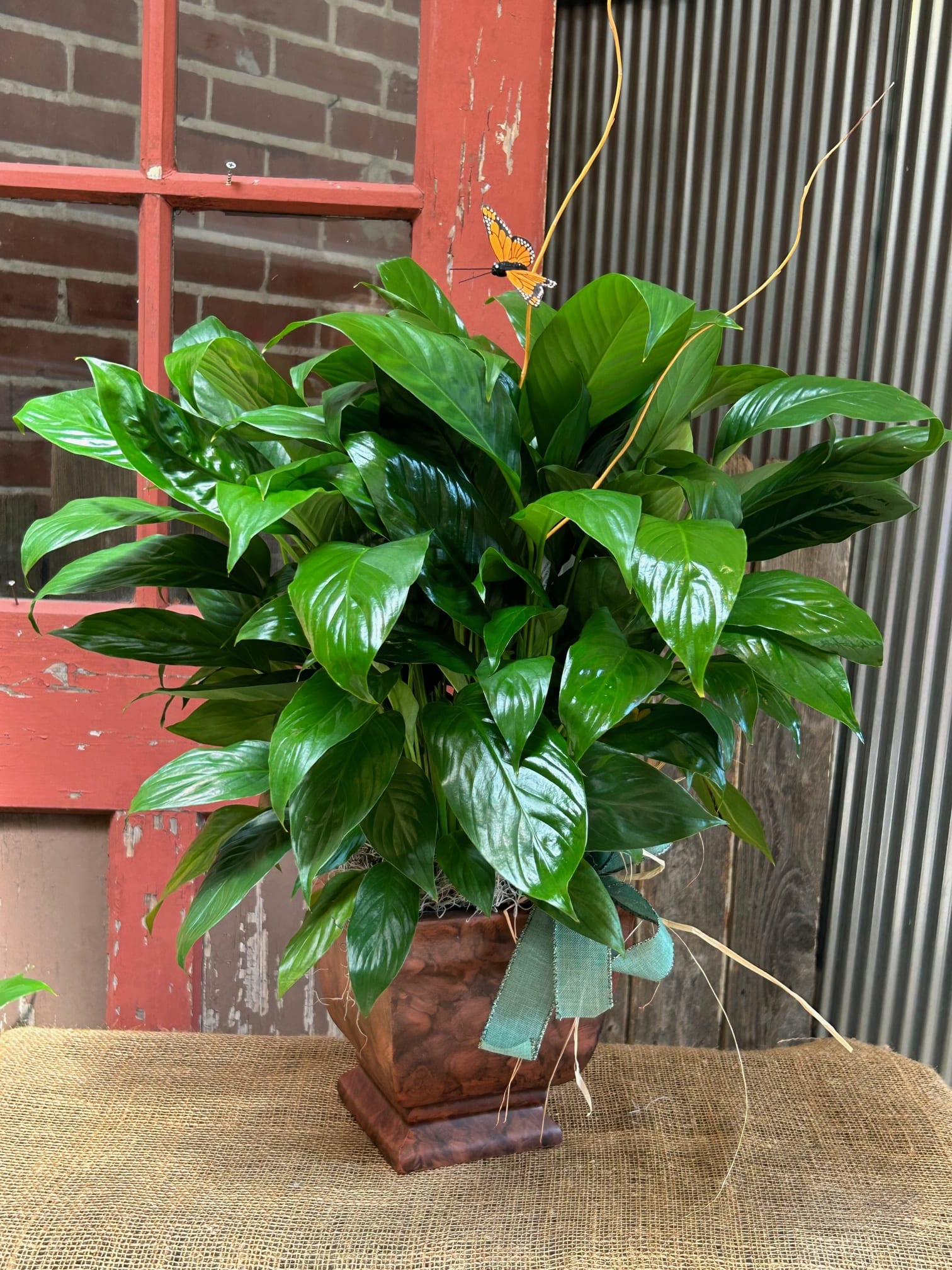 Potted green houseplant in a brown decorative container with a butterfly pick