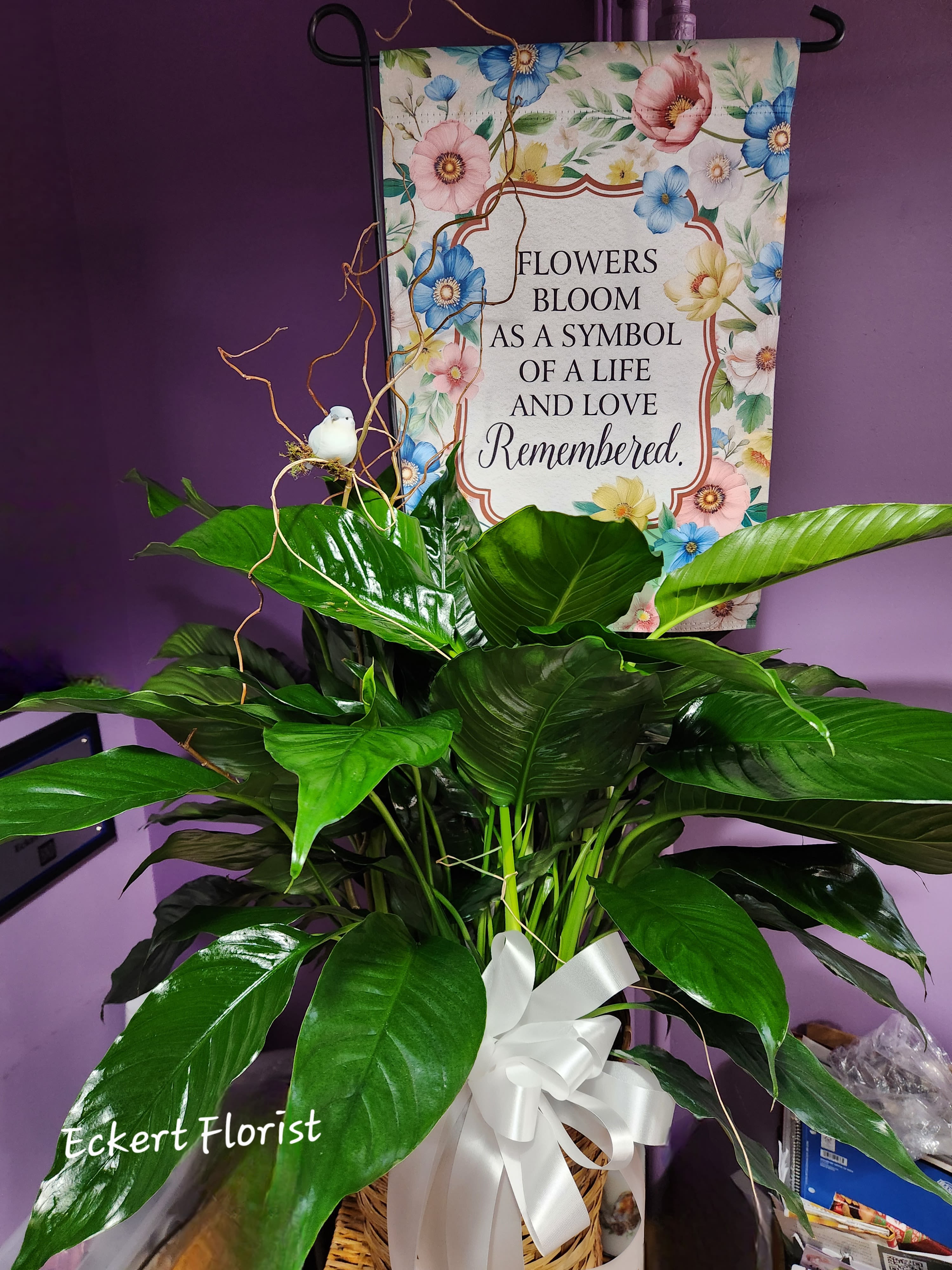 Potted green plant in a basket with a white ribbon and memorial sign
