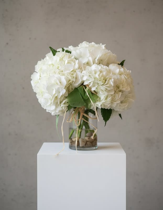 Carnton Hydrangea Cluster in white  -  Inspired by the hydrangeas that line the fences near the gardens of Carnton Plantation in Franklin, Tennessee... this design features white hydrangeas, hand gathered and clustered together and place in a simple vase on a bed of riverstones.. accented with a simple ribbon and raffia.