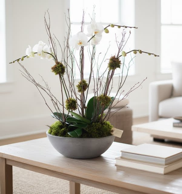Orchid Duet in Planter/Containers vary - Modern meets woodsy..  this design features two Phalaenopsis Orchid plants supported with branches and moss planted in a substantial oval planter. If the season allows, this design will include double bloom spikes on each of the plants.  We have trouble keeping this one stocked in the store!  It is striking and quiet large as well... approx 25" x 25".