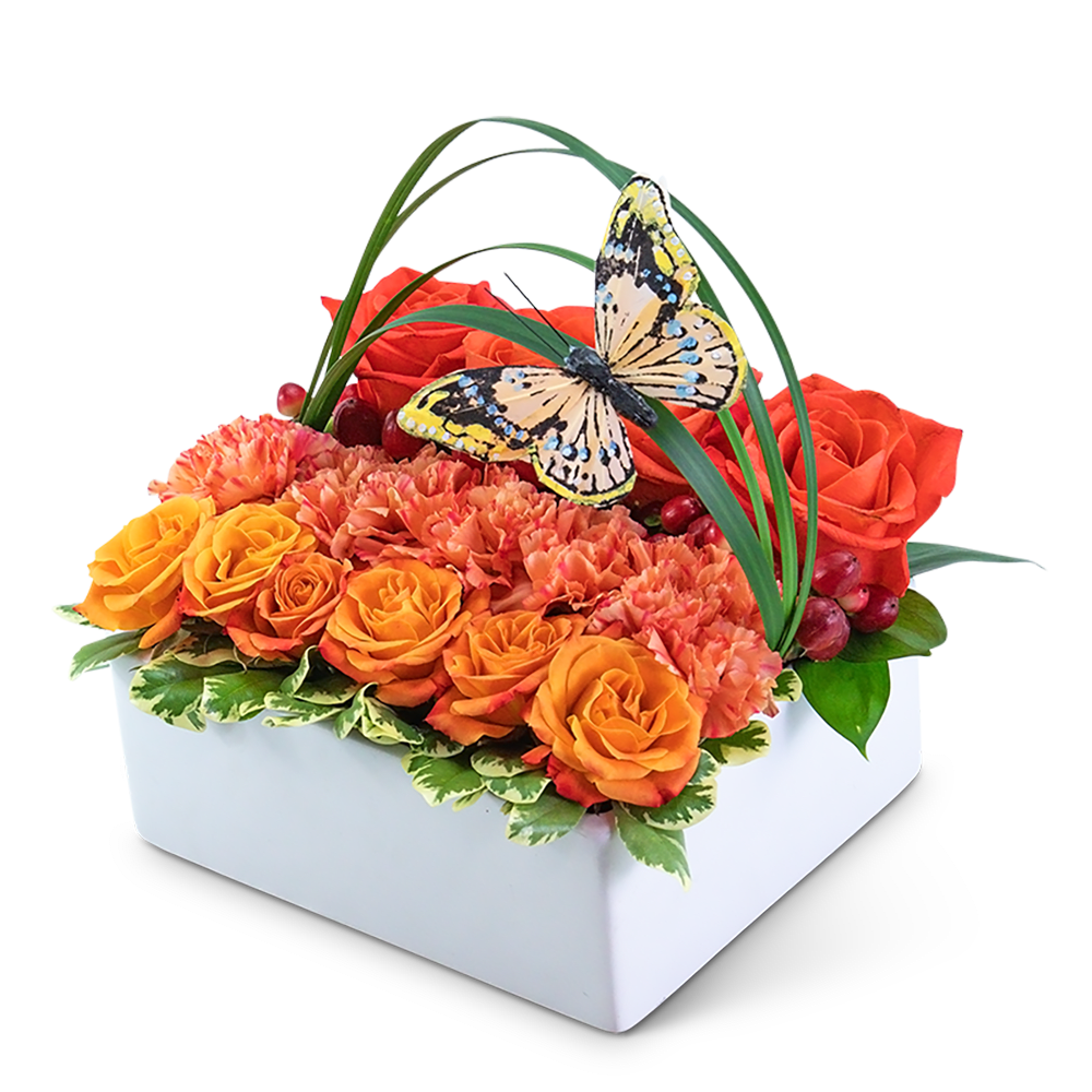 Butterfly Garden Pave - Bring a flower garden into your home with this lush mixture of coral flowers with a charming butterfly accent. Butterfly Garden Pavé is a luxurious blanket of roses, carnations, hypericum berries, lily grass, variegated pittosporum, and ruscus arranged in a white rectangular dish. It will add an elegant touch to any coffee table or desk. 