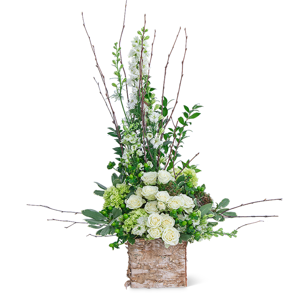 Tall floral arrangement with white roses and green blooms in a birch container
