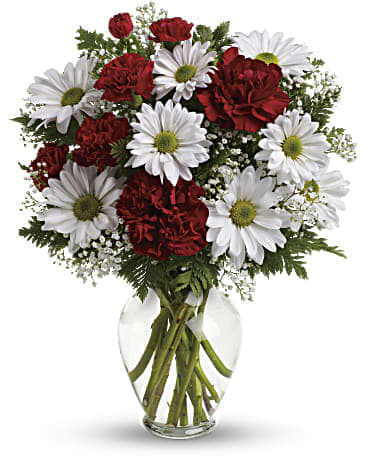 Red carnations and white daisies in a clear glass vase