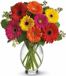 Colorful gerbera daisy bouquet in a clear glass vase