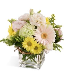 Bouquet of pale pink and yellow daisies in a clear glass vase