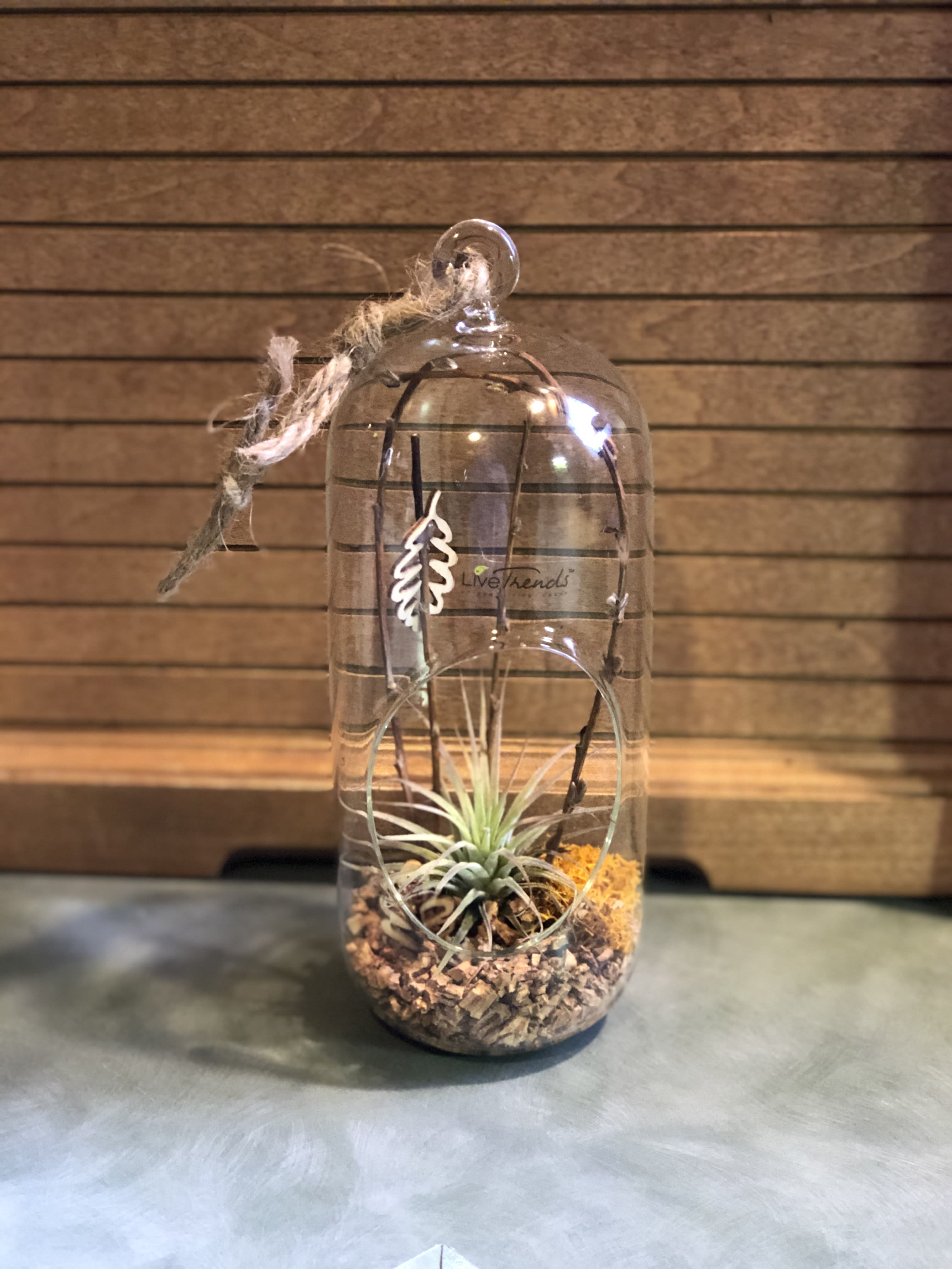 Falling Leaves - Air plant in a elongated glass tube with twine knotted to hang in your favorite space. Inspired with organic shapes of leaves and textures with reindeer moss and twigs. unique and eclectic. Display in indirect sunlight and mist lightly with water once per week.