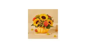 Pick of the Patch Pumpkin - Fun favorites of fall!!