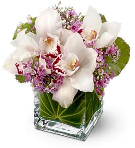 White orchids and purple filler flowers in a clear glass vase