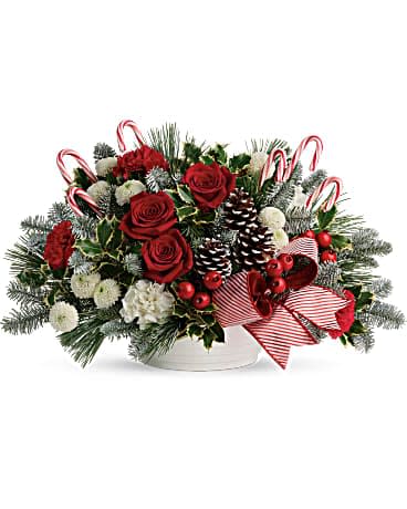 Jolly Candy Cane Bouquet - A Christmas classic, this chic white dish bursts with festive blooms, fresh winter greens, and playful candy canes. This festive bouquet features red roses, red carnations, white carnations, white button spray chrystanthemums, variegated holly, noble fir, and white pine. Delivered in a Round Ringware Dish.
