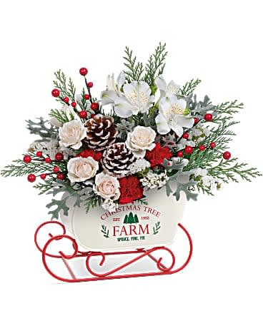 Teleflora's Winter Sleigh Bouquet - Sliding into Christmas with style and cheer, this delightful metal sleigh overflows with wintery white roses and classic nostalgia. CrÃ¨me spray roses, white alstroemeria, miniature red carnations, white sinuata statice and cedar are arranged with dusty miller. Delivered in a Snow What Fun Sleigh Keepsake.