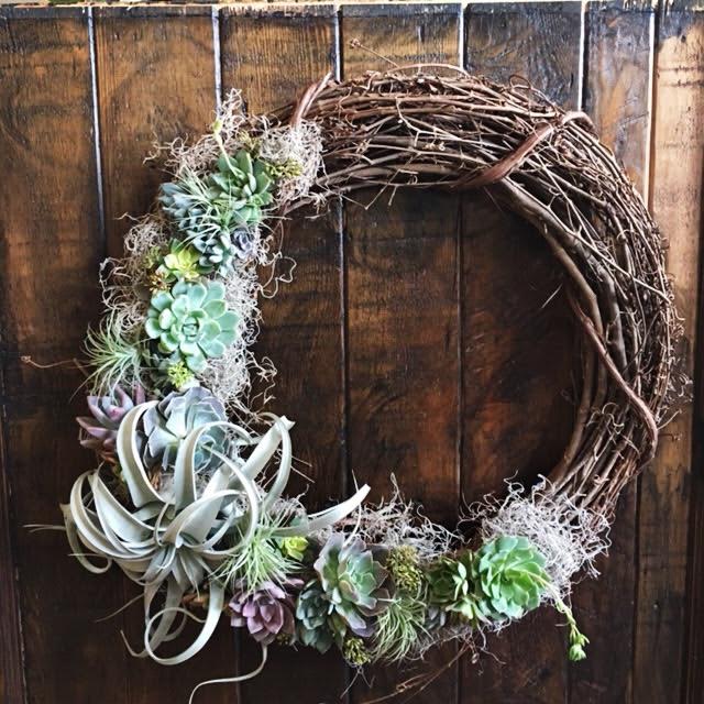 24" Wreath with Succulents  - This grapevine wreath features various succulents and tillandsia. Beautiful year round and long lasting. Succulents and tillandsia will vary due to availability. The wreath shown is 24" but also available in 18" ($100) and 30" ($175).  Sometimes NOT available for same day delivery.    