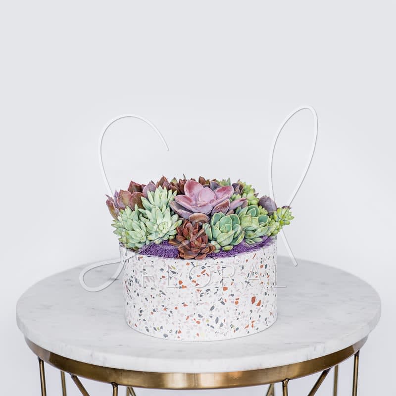Round box filled with pastel succulents on a table
