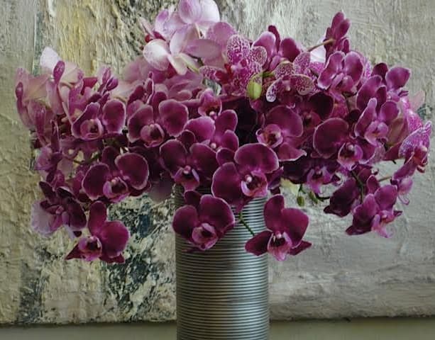 Purple orchids arranged in a striped vase