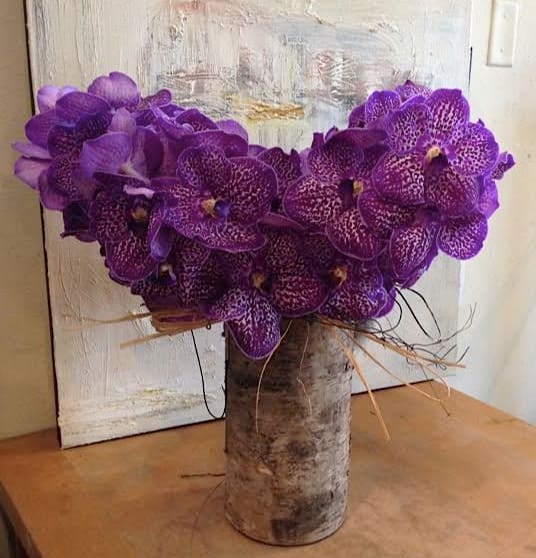 Purple Heart - Vanda Orchids