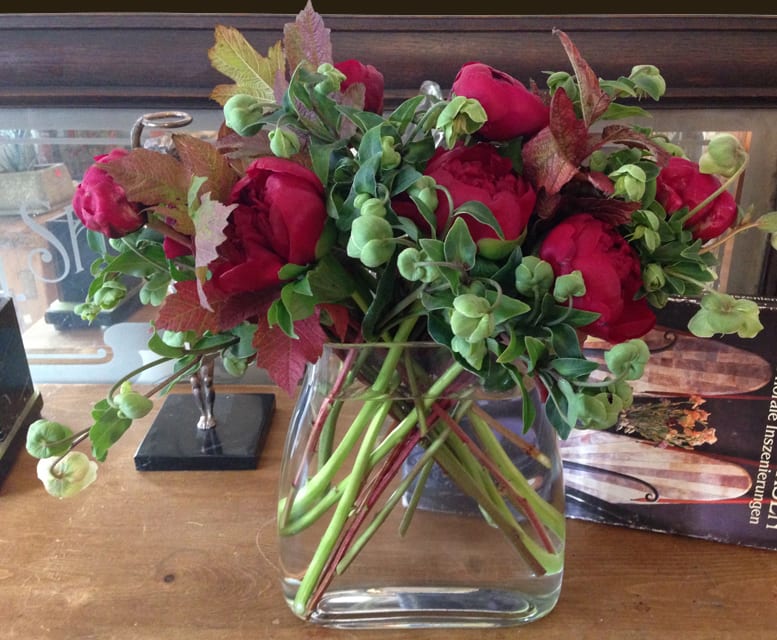 Renaissance - Peonies and Helleborus in a glass vase