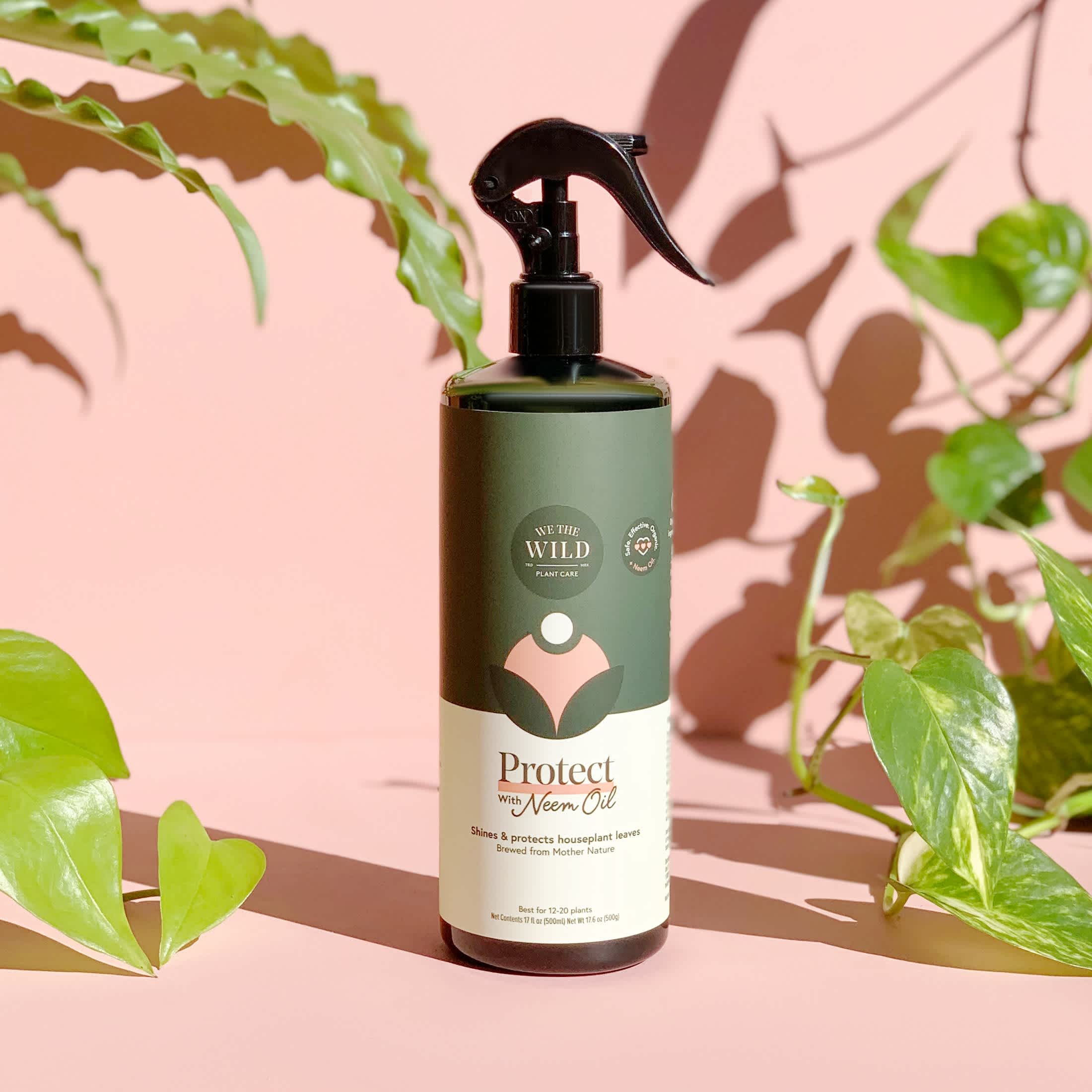 Bottle of plant care spray surrounded by houseplant leaves