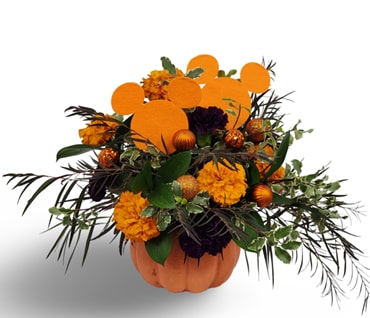 Disney Blooms - This adorable arrangement features Disney Mickey head decorations with additions of dark purple carnations and orange marigolds in a cute keepsake pumpkin. .  Pumpkin color may vary between white and orange.  Approximately  12" x 10"