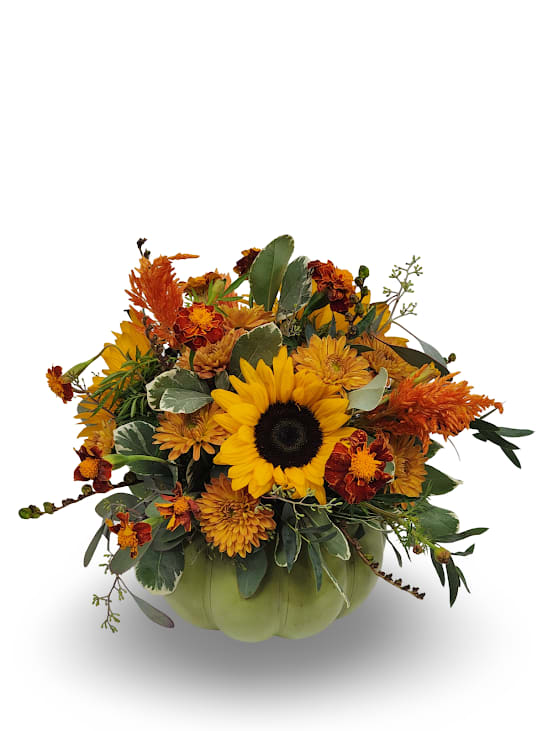 Bronze Blooms - Select this fall bronze themed arrangement that features marigolds, cushion poms , and mini sunflowers.  Approximately 12"x12"x12"