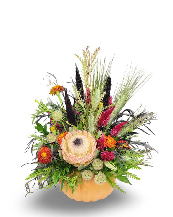 Rustic Autumn - Bring the beauty of the harvest season indoors with Rustic Autumn, a striking fall arrangement full of texture and charm. Designed in a ceramic pumpkin container, this piece features a stunning protea bloom surrounded by rich fall elements like marigolds, celosia, millet, and natural greenery. Earthy tones and rustic textures come together to create a one-of-a-kind design that perfectly captures the spirit of autumn.  Approximately 11 inches wide by 15 inches tall.