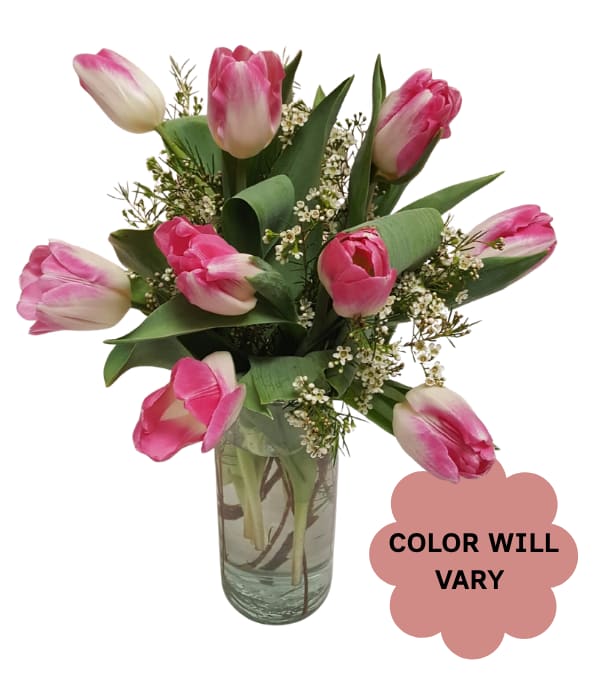 Pink tulips arranged in a clear glass vase with small white filler flowers