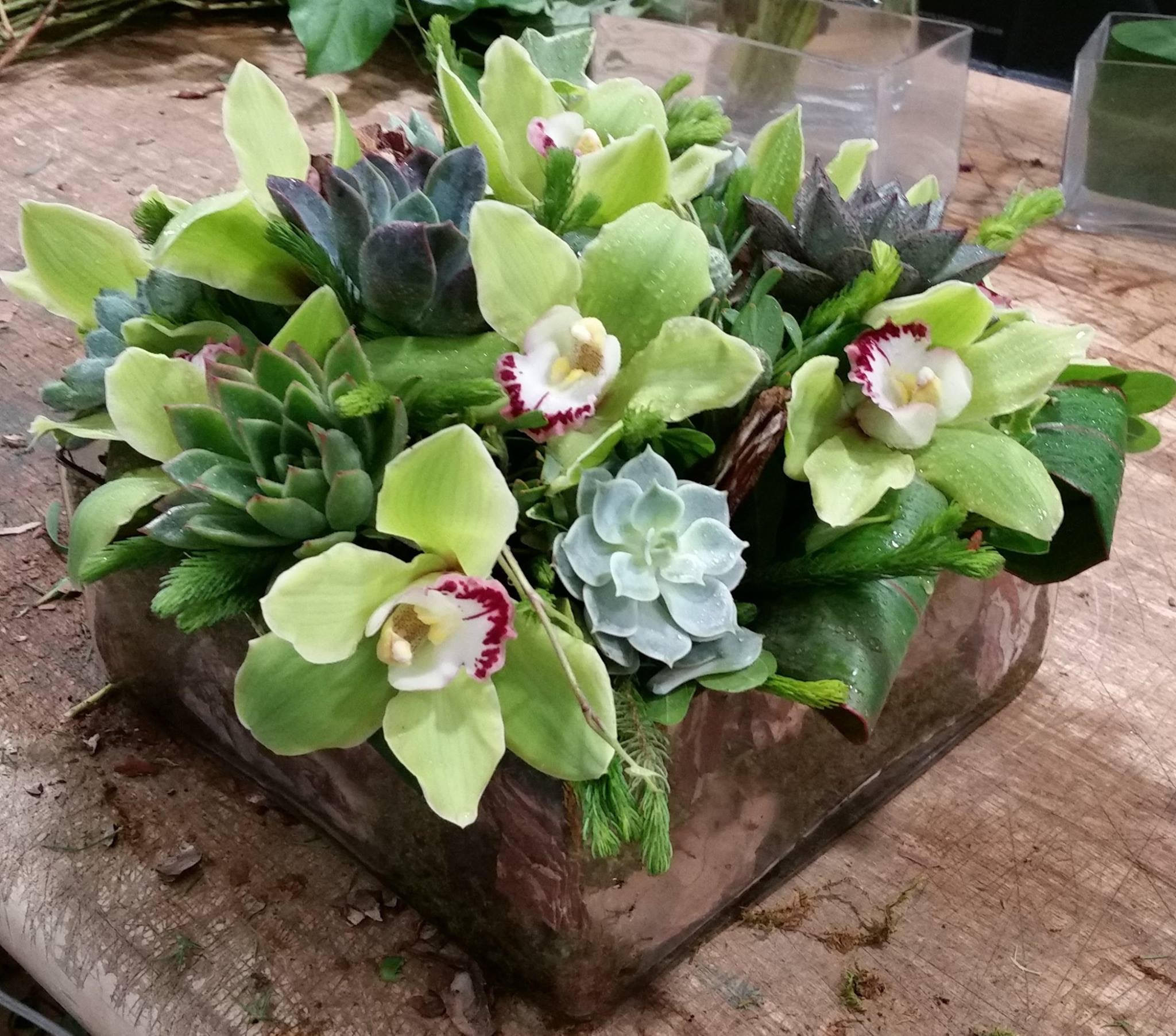 Succulent Rustic Garden  - Rustic / Modern   Succulent garden. this is a bold yet understated garden boasting vibrant Green orchids dancing among succulent plants   "SHOWN AT $149 PRICE POINT" 12x12 inch container Please note: vase/containers, plant varieties and color of orchids  MAY vary during the season  florist may make substitutions as needed 