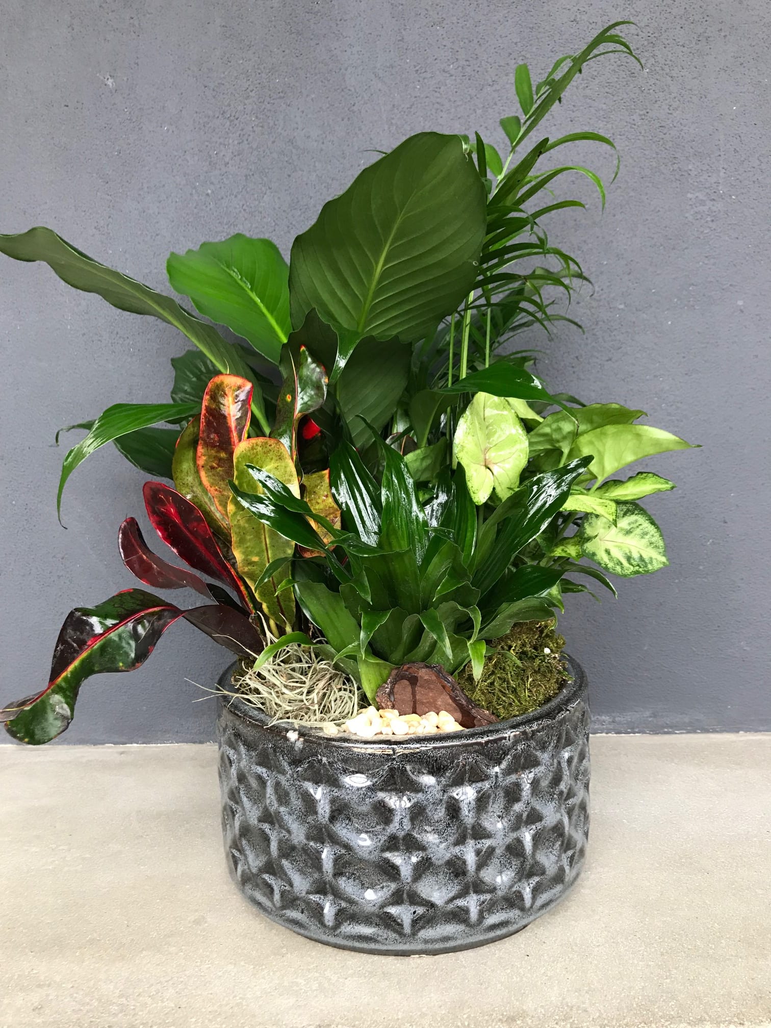 Grateful Garden  - Lush mix of garden plants beautifully arranged in a ceramic container.  size:  16 in H, 8 in W  Please Note: Container varieties may vary depending on stock 