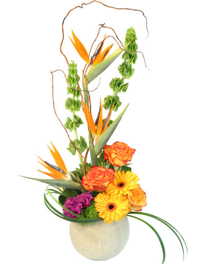 Tropical Belle - Birds of paradise, Bells of Ireland  Orange Roses, Gerber daisy's 