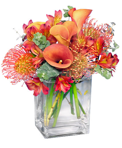 Stunning Sienna - Orange calla Lillies Pincushion Protea, Orange/Yellow Astro   in a modern container 