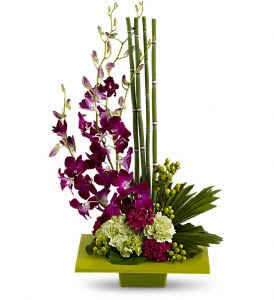 Purple orchids arranged with green bamboo in a square vase
