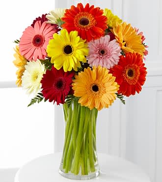 Colorful gerbera daisy bouquet in a clear glass vase