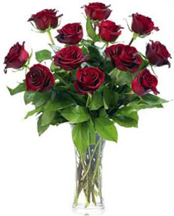 Bouquet of red roses in a clear glass vase