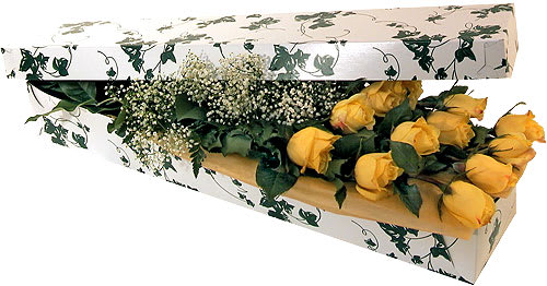 Yellow roses in a decorative box with baby's breath