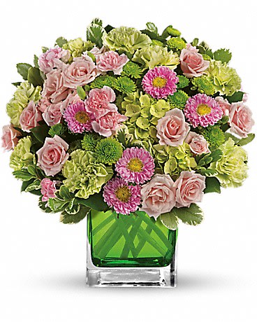 Pink roses and green carnations in a square glass vase