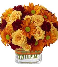 Bouquet of orange daisies and cream roses in a glass vase