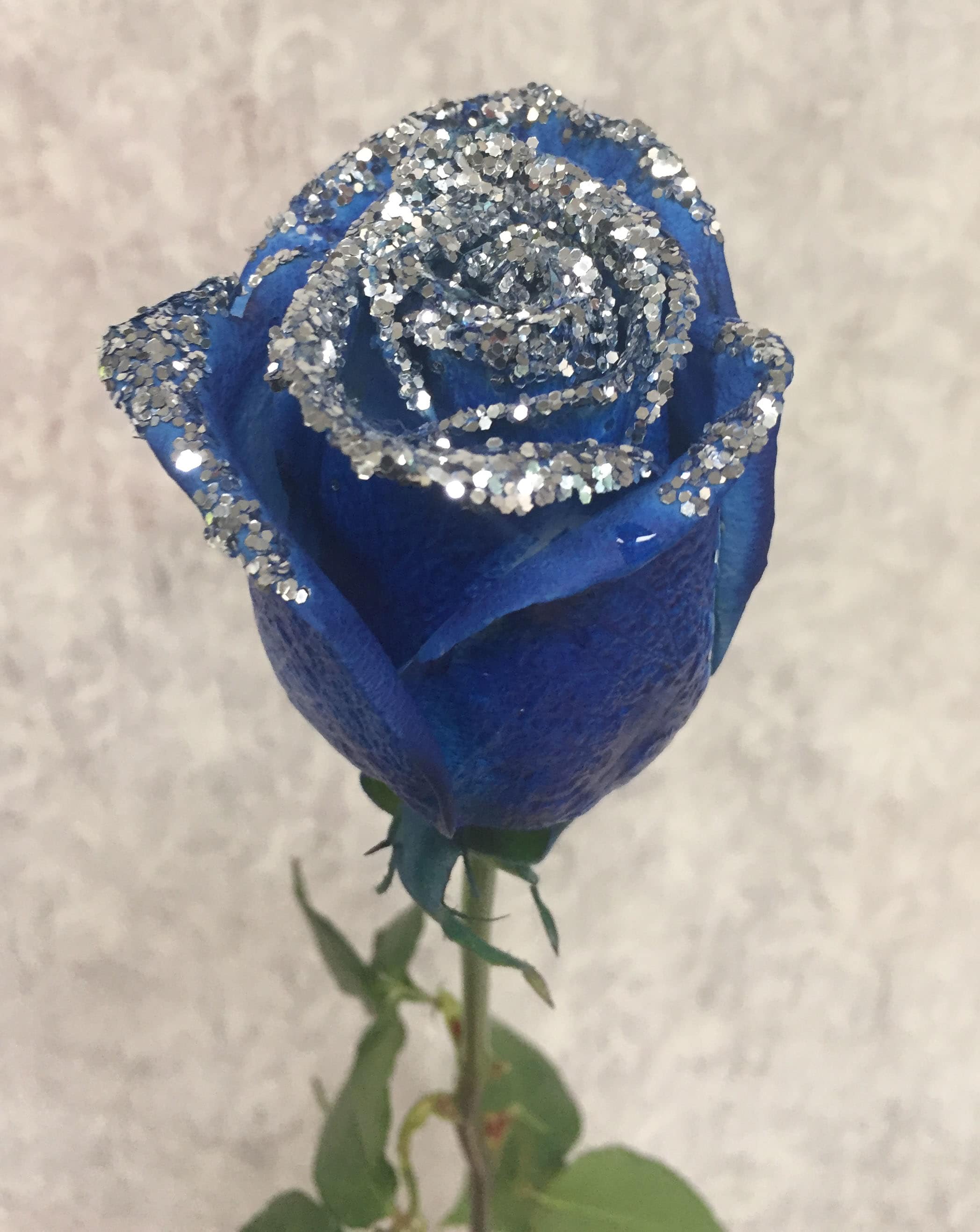 Single blue rose with silver glitter on the petals